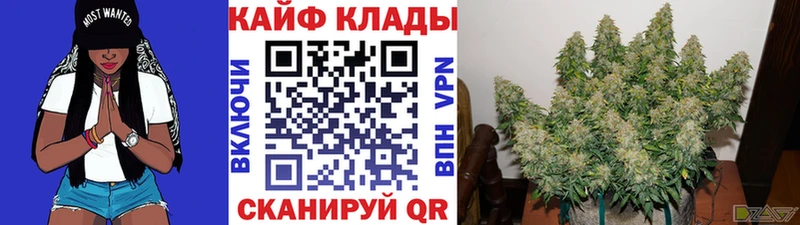 Какие есть наркотики Конаково блэк спрут зеркало Метадон Alpha-PVP МАРИХУАНА Cocaine ГАШ АМФ