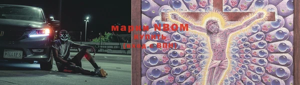 сатива Покров