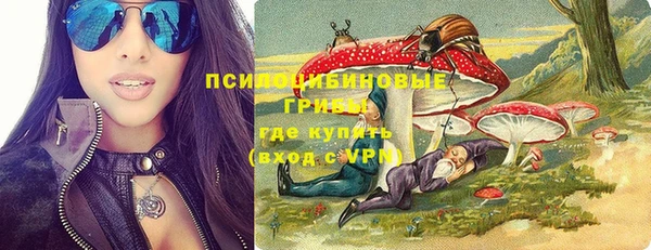 бошки Алексин