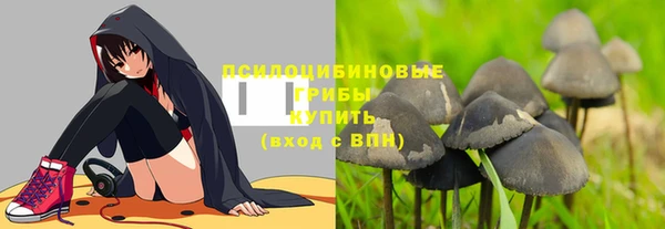 MDMA Алексеевка