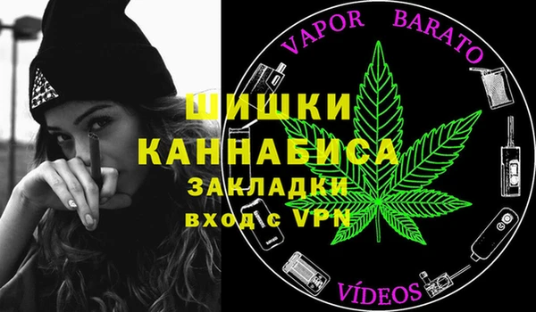 гидропоника Алзамай