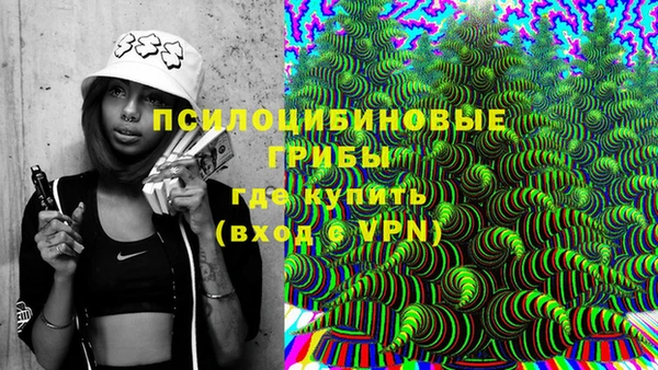 гидропоника Алзамай