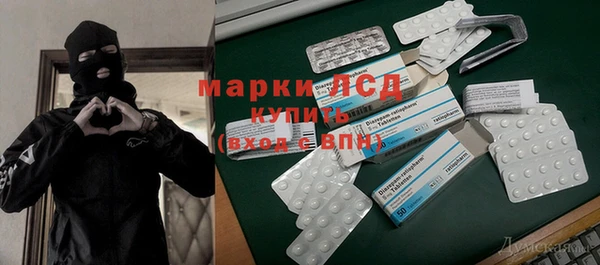 гидропоника Алзамай